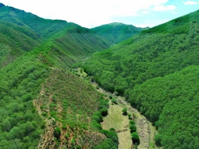 二龙什台国家森林公园旅游建设项目洽谈会