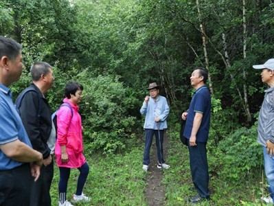 二龙什台森林