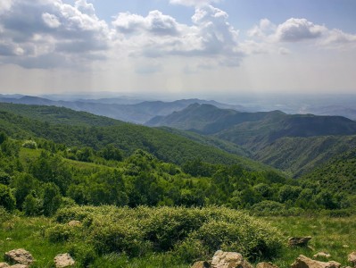 自驾游二龙什台，风景还不错，好多树