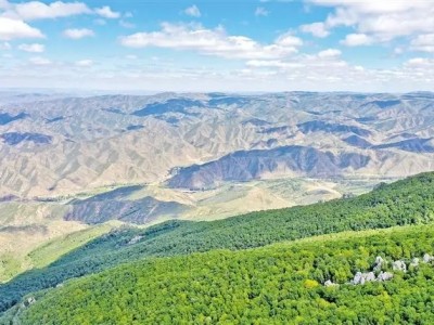 漫步天然氧吧 二龙什台级森林公园一日游