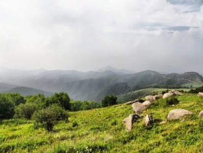 包头到二龙什台国家森林公园休闲一日游