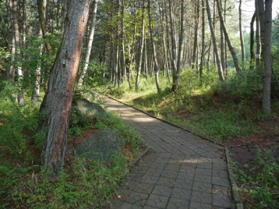 二龙什台国家森林公园