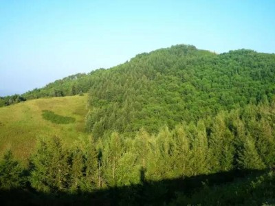 二龙什台国家森林公园岱海生态观光汽车两日游