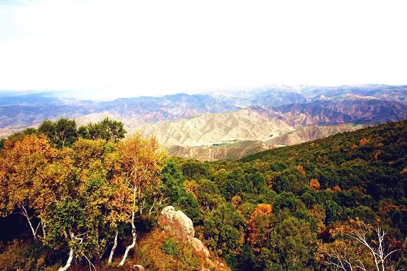 二龙什台森林公园.jpg