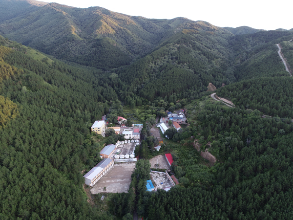 二龙什台国家森林公园