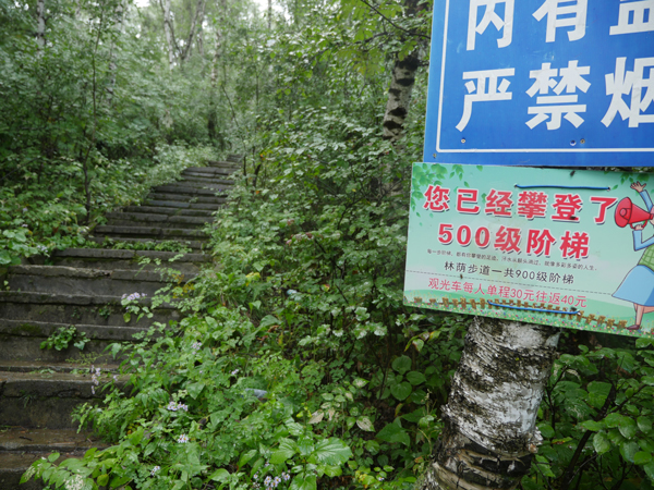 二龙什台国家森林公园
