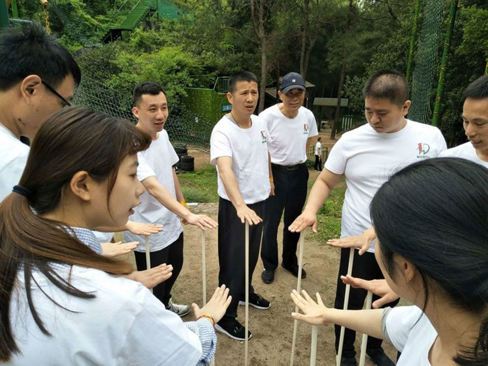不倒森林.jpg